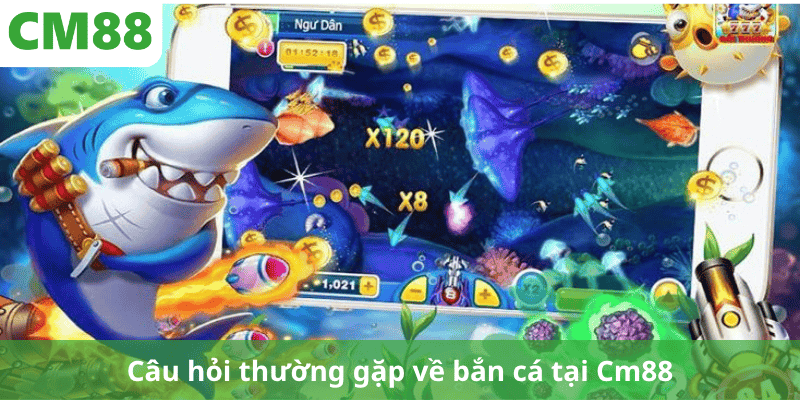 Câu hỏi thường gặp về bắn cá tại Cm88